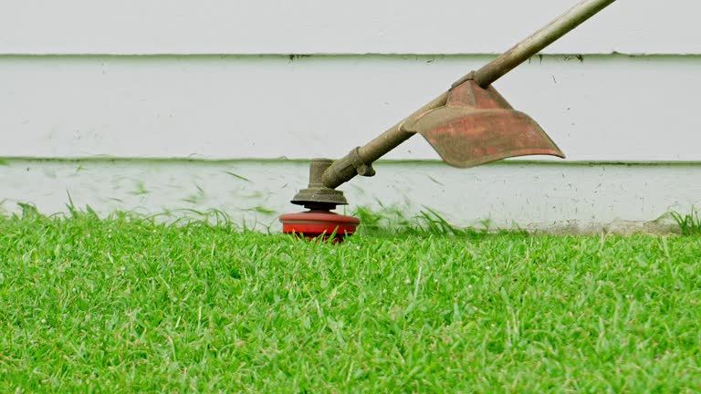 Best Lawn Watering Services  in Englewood, CO